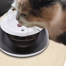 Chris notap 241.349 views2 year ago. Pet Supplies Automatic Circulating Pet Water Dispenser Cat And Dog Water Fountain Dog Bowl For Puppy Cat Drinking Home Water Diy Buy At The Price Of 18 47 In Aliexpress Com Imall Com