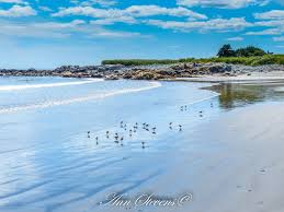 The caribbean island with french flair, martinique is an island with style. Canada S Ocean Playground Martinique Beach Nova Scotia Mapio Net