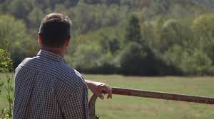 At your Toccoa-Stephen's County Chamber of Commerce we love nothing more  than sharing our Member's Stories! @curraheevineyardandwinery started here  in...