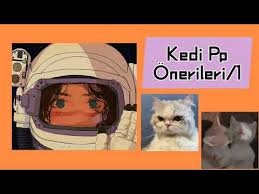 Kedi Pp Onerileri 1 Youtube