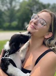 Which do you prefer: Border Collie puppies or adult dogs? 😍