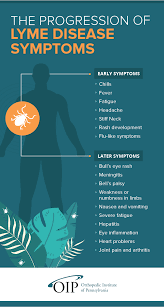 Painful joints will also prevent a patient from getting a good night's rest. What Is Lyme Disease How Can It Cause Joint Pain Oip