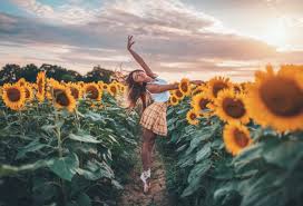 Brandon Woelfel On Twitter Me My Camera Sunflower Fields Our driver found this sunflower field near phathana some distance away from sanburi,. brandon woelfel on twitter me my