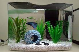 3 reasons to use a filter in your betta tank betta care fish guide is a participant in the amazon services llc associates program. How Much Electricity Does Fish Tank Filter Use 7 Examples