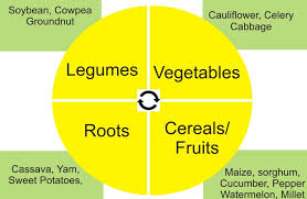 Use The Principles Of Crop Rotation To Control Crop Pests