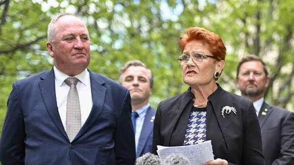 One Nation Leader Pauline Hanson is questioned on whether she will run for  a lower house seat in Parliament. | Sky News Australia | Facebook