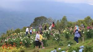 17 april 2019 harga tiket masuk week day dan week end selama … read more subhanallah ada miniatur ka'bah di cikole pandeglang Nikmati Sunset Hingga Keindahan Hamparan Bunga Di Taman Wisata Puncak Tetetana Kumelembuai Tomohon Tribun Manado