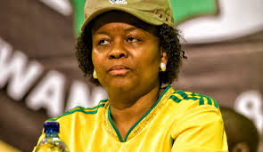 Fears of another Esidimeni as Gauteng Health cuts NGO subsidies