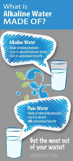 Pin On Alkaline Diet