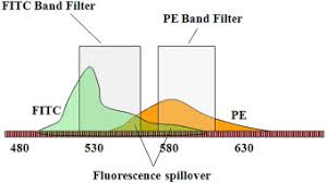Fluorochrome An Overview Sciencedirect Topics