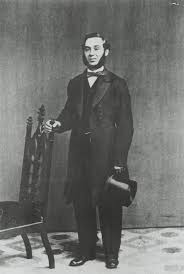 Image result for Sutera levis