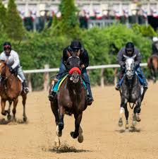 Maybe you would like to learn more about one of these? Belmont Odds And Picks Who Will Win The New York Times