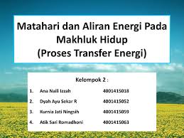 Matahari Dan Aliran Energi Pada Makhluk Hidup Proses Transfer Energi Ppt Download