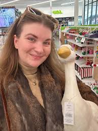 If any one in Albuquerque, New Mexico is looking for a porch goose, Jo  Ann's
