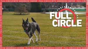 President biden's dogs were reportedly booted from the white house for being too aggressive. Joe Biden S German Shepherd Dog Has Aggressive Incident And Is Sent Back To Delaware Cnnpolitics