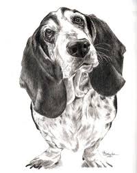 Black And White Basset Hound Custom Pet Portrait 8x10 Sketch Of Your Dog Drawing Etsy Dog Paintings Dog Drawing Dog Art
