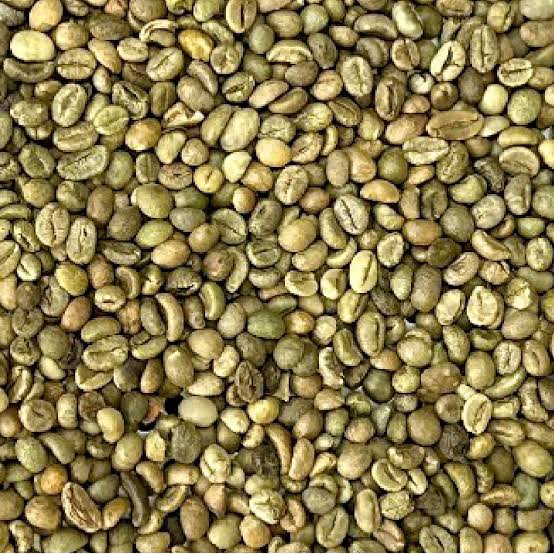 ROBUSTA GRADE 1 S18 CLEAN - Công ty TNHH Vĩnh Hiệp