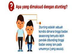 Stunting adalah gangguan pertumbuhan pada anak yang disebabkan kekurangan nutrisi. Penyebab Dan Gejala Anak Pendek Stunting Serta Cara Menanganinya Mitra Kesmas