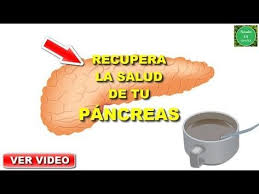 Sintomas De Pancreatitis Desinflamar El Pancreas Limpiar Y Depurar El Pancreas Remedios Y Caseros Youtube Youtube Pancreas Diabetes