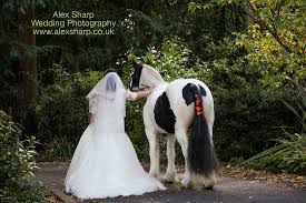 Wedding Photography At Old Rectory House Hotel In Ipsley Redditch Equestrian Wedding Groom Photo Horse Photography