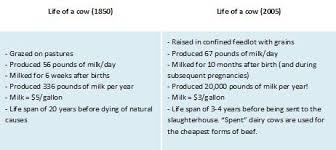 Is Dairy Healthy The Whole Story Part 1