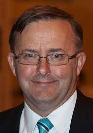 His birth sign is pisces and his life path number is 6. Anthony Albanese Wikipedia