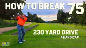 Image result for Handic 230