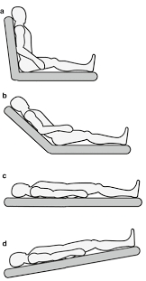 Patient Examination And Assessment Springerlink
