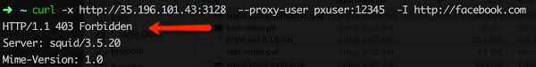 We did not find results for: How To Setup And Configure A Proxy Server Squid Proxy Setup And Configuration