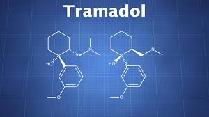Tramadol The Drug Classroom