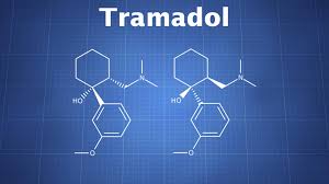 tramadol the drug classroom