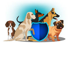 Maybe you would like to learn more about one of these? Pet Insurance Dog Health Insurance Bajaj Allianz