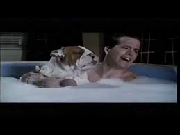 Kitustrailers Van Wilder Animal Party Trailer En Espanol Youtube