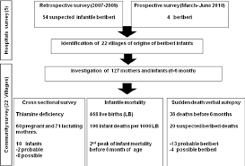 flow chart of the thiamine deficiency survey in northern