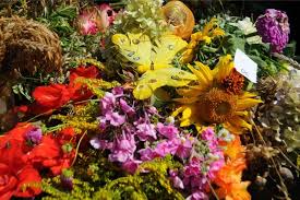 Ideą tego święta jest wzajemna pomoc i szacunek do drugiej osoby. Dzien Przyjaciela Sasiada I Inne Nietypowe Swieta W 2015 Roku Dziwne Swieta Glos Wielkopolski