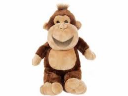 Álmokat kerget a reggel, szemembe élet pattan, üdvözlőn emelem boldog névnapot! Vicces Nevnapi Koszonto Vicces Uzenetek Flv Youtube