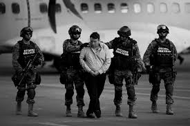 International extradition is a legal process by which one country (the requesting country) may seek from another country (the requested country) . Extradition Process Fundamental Characteristics To Understand The Scope