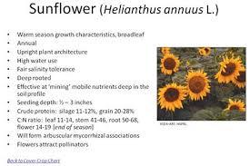 Cover Crop Chart An Intuitive Educational Resource For