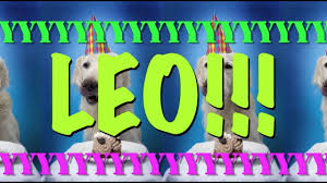 Leo makes her debut in new wave. Happy Birthday Leo Epic Happy Birthday Song Youtube