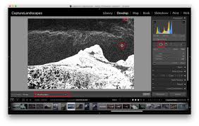 Here are the main ones for the adjustment brush. Visualize Spots Reveal Dust Spots In Lightroom Capturelandscapes