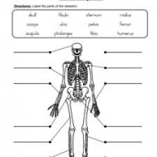 Teaching with printable worksheets helps to reinforce skills by allowing students to use worksheets. The City School Grade 4 Science Worksheets For Reinforcement