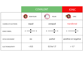 comparision of bonds surfguppy chemistry made easy