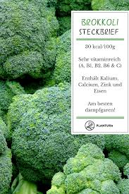 Brokkoli Schmackhafte Sprossen Und Kopfchen Aus Dem Eigenen Garten Plantura Gemuseanbau Pflanzen Gartentipps