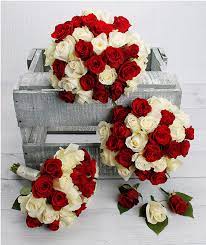 Red and yellow roses and freesia flowers. Red And White Rose Flowers