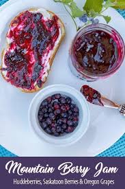 Montana Mountain Berry Jam In 2020 Wild Berry Recipe Berries Recipes Raspberry Jam Recipe