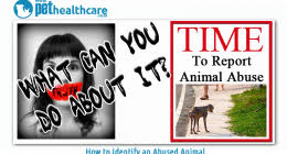 Instead it will identify which registry should be contacted when a lost pet is scanned and a microchip number is identified. One Stop Microchip Search Engine Pet Health Care