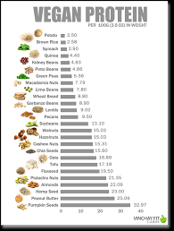 vegan protein team vinchay