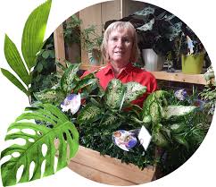 Unser team besteht aus gärtnern, floristen und baumschülern und für die gartengestaltung greifen wir seit jahren partnerschaftlich auf die dienste von herrn thomas marten. Pflanzenwunder Das Gartencenter Lankwitz In Berlin
