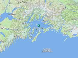 Image result for Holland Blue 2025 Fleet