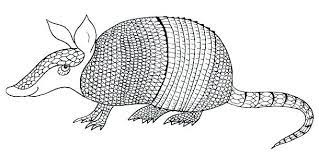 See the presented collection for armadillo coloring. Armadillo Coloring Pages Armadillo Coloring Page Armadillo Coloring Page Armadillo Colorin Coloring Pages Free Printable Coloring Pages Free Printable Coloring